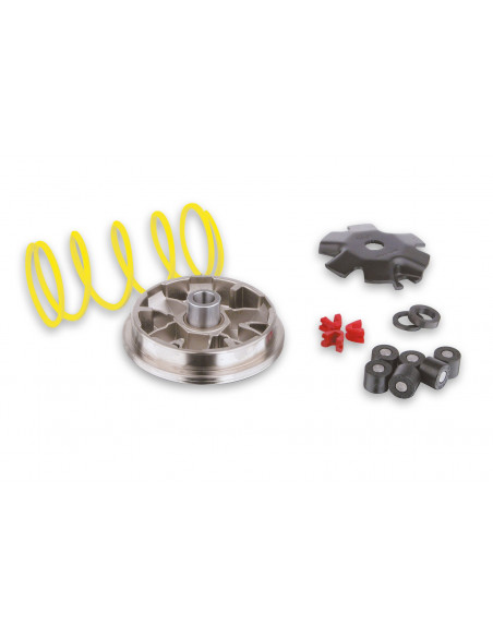 Variator, Malossi Multivar