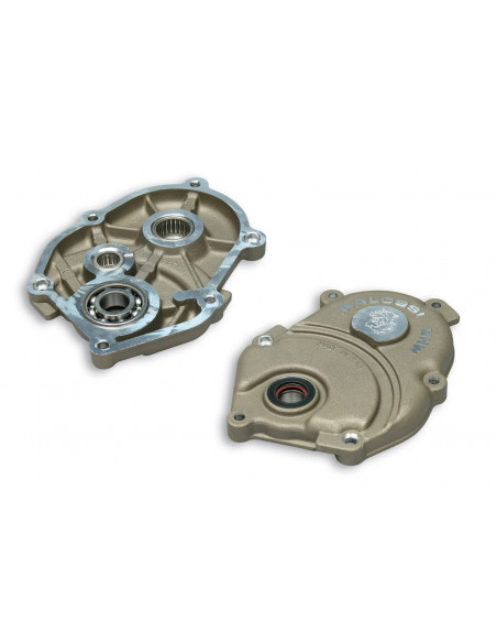 Kåpa, Transmission, Malossi