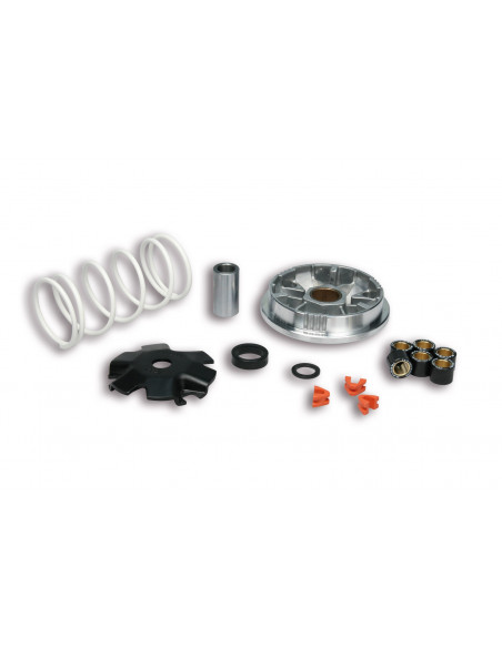 Variator, Multivar, Malossi Aerox