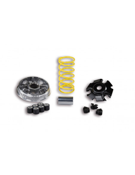 Variator, Multivar Malossi