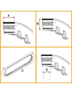 Variatorrem, Malossi X K belt (17,5x8x804 mm 30°) 2
