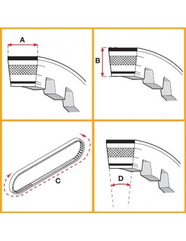 Variatorrem, Malossi X K belt (17,5x8x804 mm 30°)