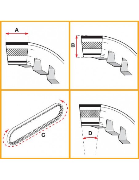 Variatorrem, Malossi X K belt (17,5x8x804 mm 30°)