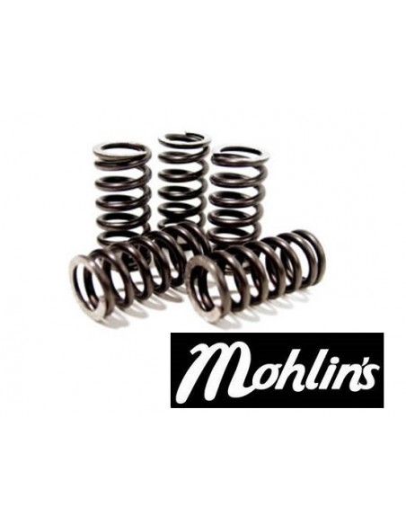 MALOSSI KOPPLINGSFJÄDRAR