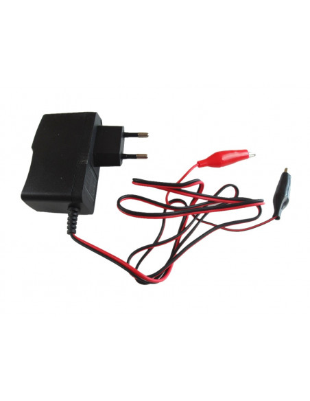 Batteriladdare 12 volt