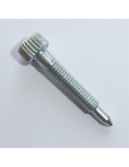 Justerskruv Dellorto PHBG