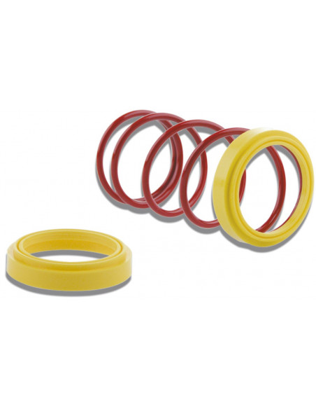 MALOSSI TORSION KONTROLL