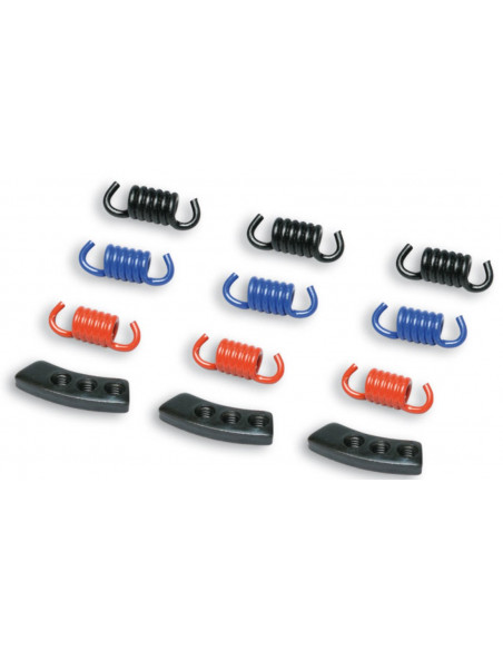 MALOSSI KOPPLINGSFJÄDRAR