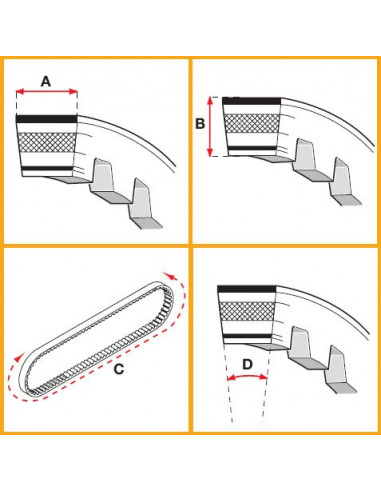 Variatorrem, Malossi X K Belt(16,6x8x745 mm)