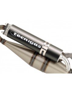 Avgasystem Tecnigas Next R - CPI 2