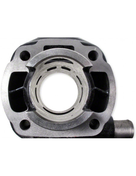 Malossi Sport 50cc L/C cylinder
