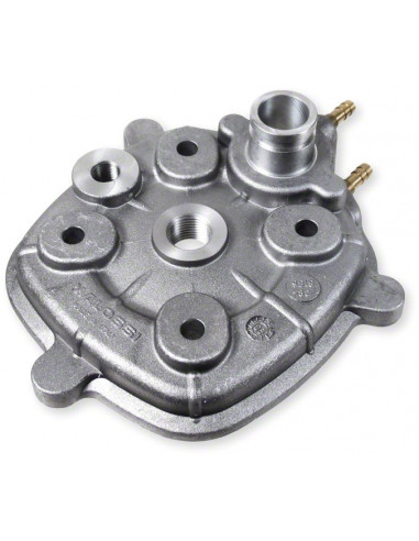 Malossi MHR Replica  L/C 70 cc cylinder