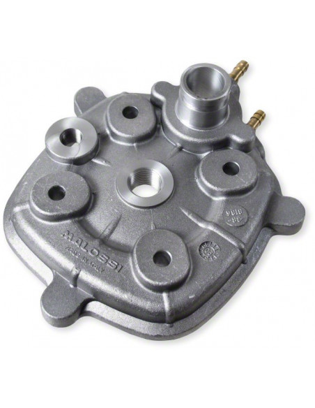 Malossi MHR Replica  L/C 70 cc cylinder