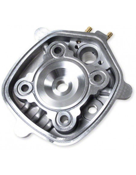 Malossi MHR Replica  L/C 70 cc cylinder