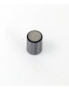 Lager rulle 6x4,55mm Sachs