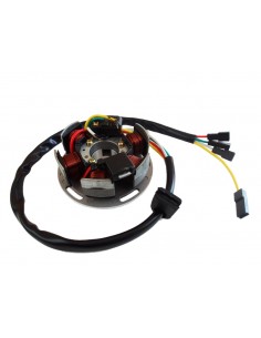 Tändsystem Kreidler/Zundapp/Sachs Elextronic 6V 85W Kokusan kopia 2