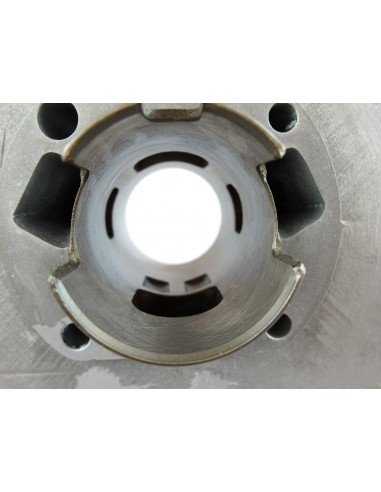 Cylinder Sachs 5/6v 70cc 48mm 14p parmakit