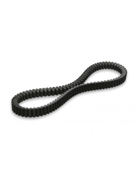 Malossi drevrem                                        22X13X824