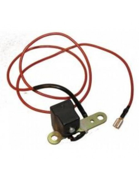 Pickup (Standard) Piag/Gilera