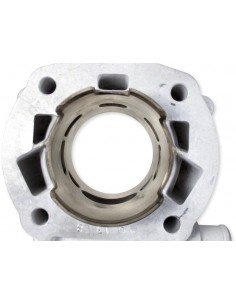 Malossi Cylinder Ø 50 MHR Derbi 2