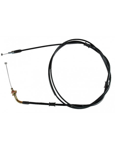 Gasvajer Piaggio Fly