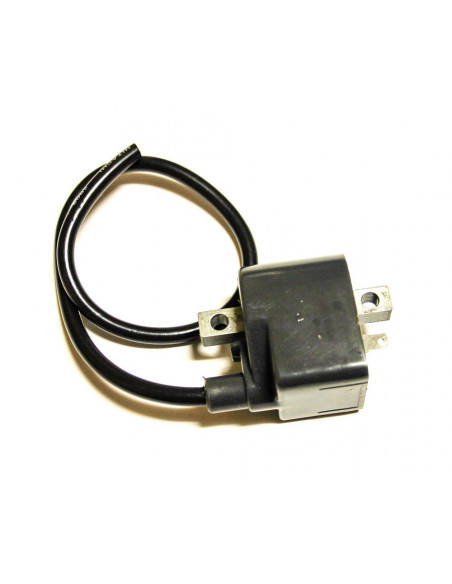 Tändspole Suzuki TS50X