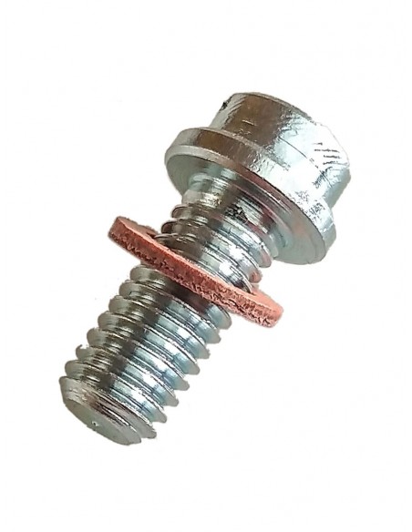 Oljeskruv Jawa 210 med packning