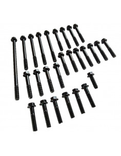 Motor Skruvsats Honda MT/MB 2