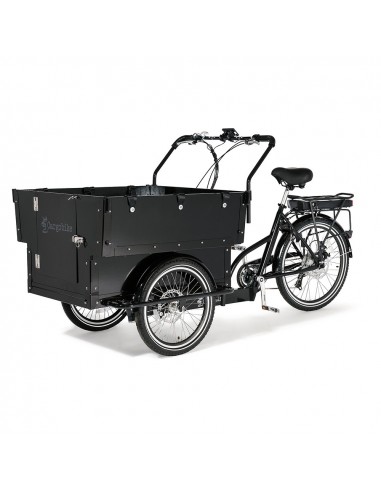 Cargobike Kindergarten Electric Hydralic