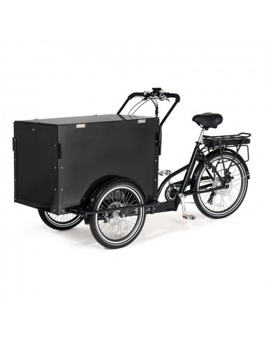 Cargobike Classic Box Electric Hydralic