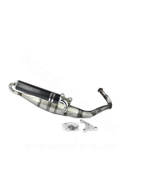 Avgassystem Carenzi Daemon Piaggio