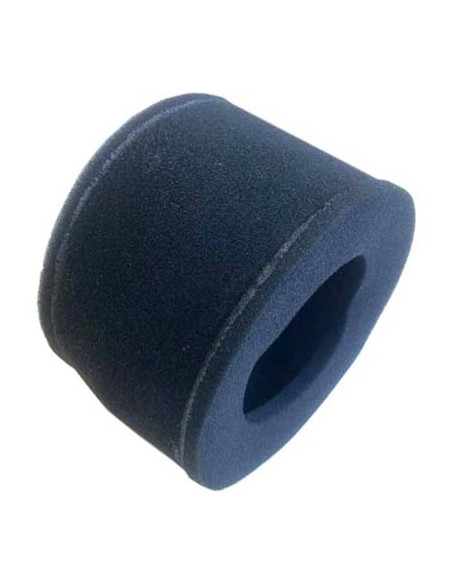 Luftfilter Rieju MRT