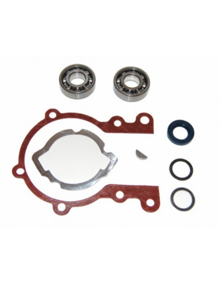 Vevaxel renoveringssats