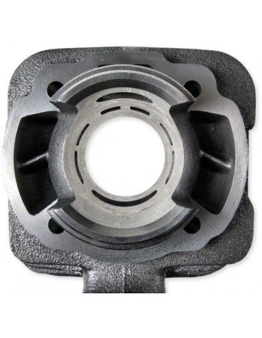 Cylinder Malossi Sport