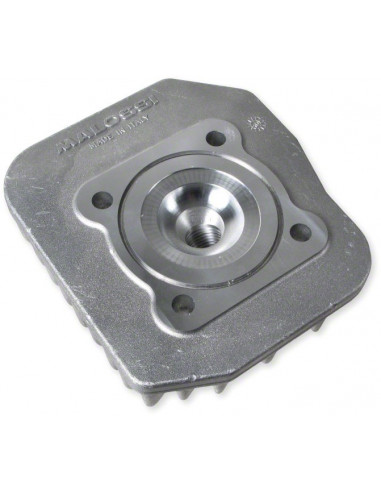 Cylinder Malossi Sport