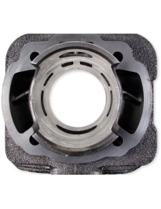 Cylinder Malossi Sport 47 mm 2