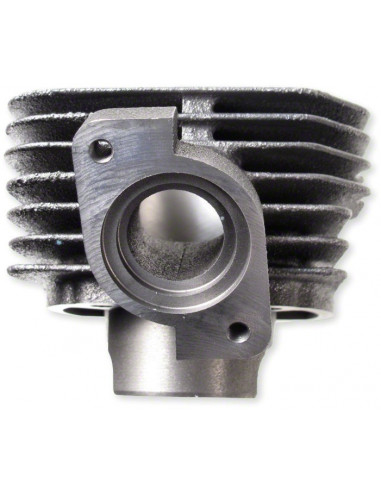 Cylinder Malossi Sport 47 mm