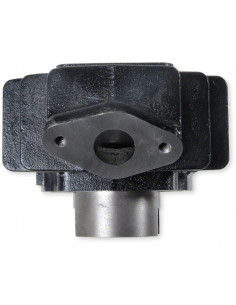 Cylinder 40 mm Yamaha PW50 2