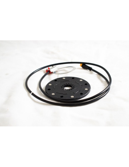 LifeBike Pedalsensor G3 o G2