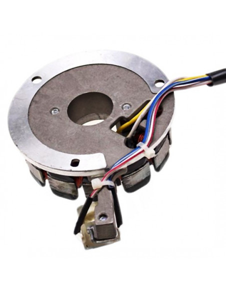 Tändplatta Minarelli AM6 Euro4