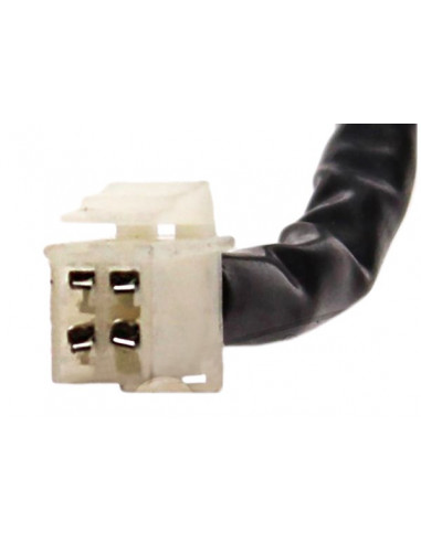 Tändplatta Minarelli AM6 Euro4