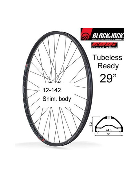 Bakhjul TubelessReady25 29