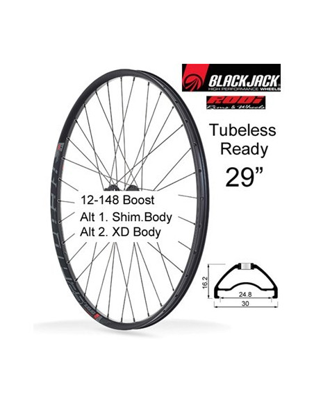 Bakhjul TubelessReady25 29