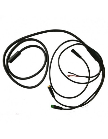 EB-Bus kabel Egoing Delbar