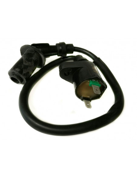 Tändspole 2-takt/4-takt LPI 2 Stift