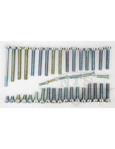 Skruvsats Motor Sachs 2