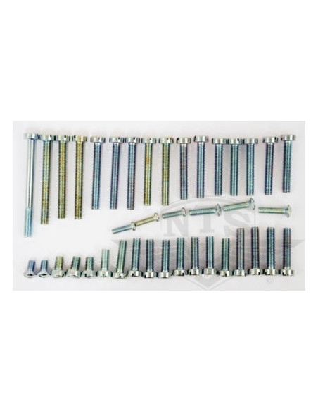 Skruvsats Motor Sachs