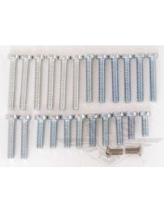 Skruvsats Motor Sachs, 2 & 3 växlade 2