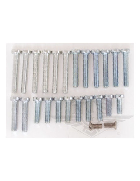 Skruvsats Motor Sachs, 2 & 3 växlade