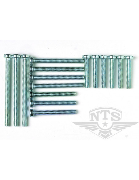 Skruvsats Motor Puch 1976-